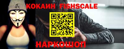 гашик Гусев