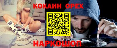 гашик Гусев