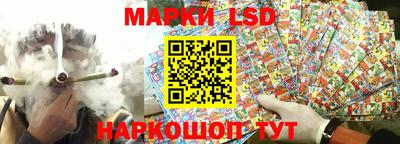 гашик Гусев