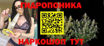 гашик Гусев