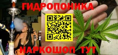 СК Гусь-Хрустальный