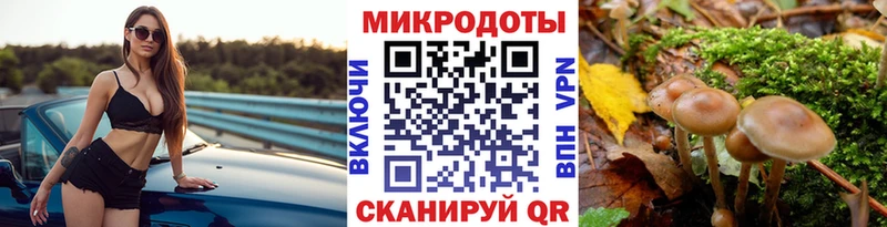 Псилоцибиновые грибы MAGIC MUSHROOMS  купить наркоту  kraken онион  Назарово 