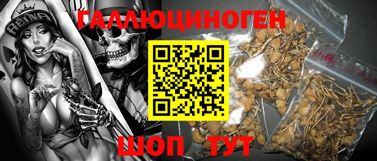 Назарово  Галлюциногенные грибы GOLDEN TEACHER  Псилоцибиновые грибы мицелий  Вход с VPN 