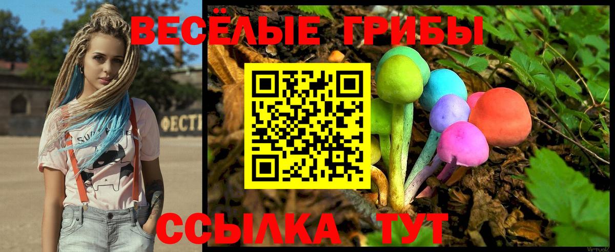 Псилоцибиновые грибы прущие грибы Назарово